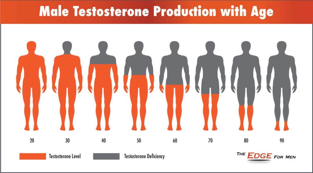 Testosterone Changes Chart